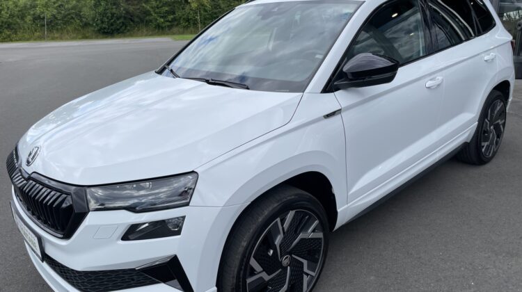 Karoq Sportline 2,0TSi 4×4 Pano AHK 19