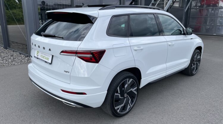 Karoq Sportline 2,0TSi 4×4 Pano AHK 19